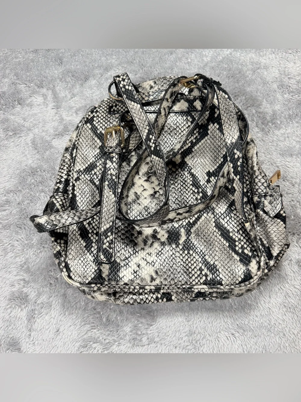 Aldo Black and Cream Snake-Print Mini Backpack